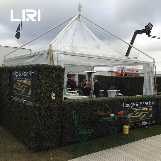 Tenda gazebo mobile con tettoia trasparente per esterni per eventi e feste in giardino